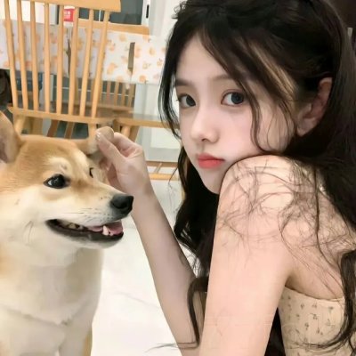 狐蝠 在线观看